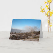 スカウトスカートクンブリアイングランドのホリデーカード カード (黄色い花)