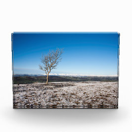 スカウトスカールホリデーカードポスター フォトブロック