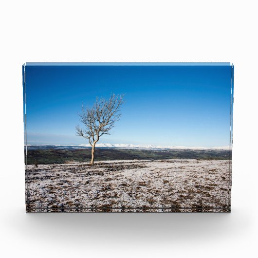 スカウトスカールホリデーカードポスター フォトブロック (正面)