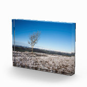 スカウトスカールホリデーカードポスター フォトブロック (右)