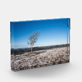 スカウトスカールホリデーカードポスター フォトブロック (左)