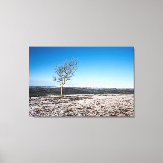 スカウトスカールホリデーカード キャンバスプリント (正面)