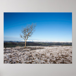 スカウトスカールホリデーカード ポスター