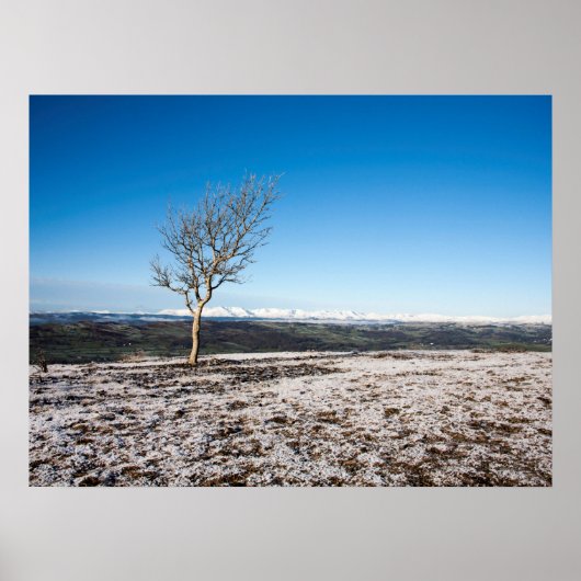 スカウトスカールホリデーカード ポスター (正面)