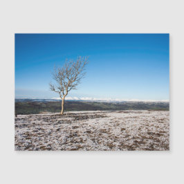 スカウトスカー冬の湖の散在イギリス