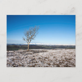 スカウトスカー冬の湖の散在イギリス ポストカード