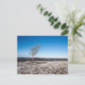 スカウトスカー冬の湖の散在イギリス ポストカード (スタンド正面)