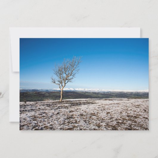 スカウト・スカール  ホリデーカード (正面)