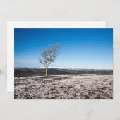 スカウト・スカール  ホリデーカード (正面/裏面)