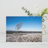 スカウト・スカール  ホリデーカード (スタンド正面)