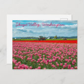 スカギットバレーチューリップ春 ポストカード (正面/裏面)
