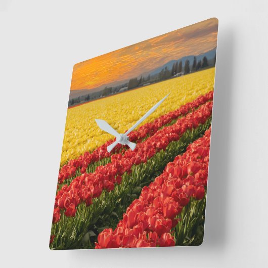 スカギット郡訛りの鮮やかな赤と金ゴールドチューリップ スクエア壁時計 (傾斜)