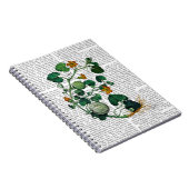 スカッシュつる植物2 ノートブック (右側)