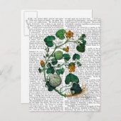 スカッシュつる植物2 ポストカード (正面/裏面)