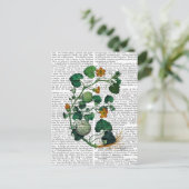 スカッシュつる植物2 ポストカード (スタンド正面)
