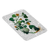 スカッシュつる植物2 マグネット (右側)