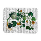 スカッシュつる植物2 マグネット (横)