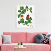 スカッシュつる植物3 キャンバスプリント (インサイチュ (リビング))