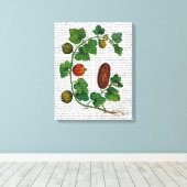 スカッシュつる植物3 キャンバスプリント (インサイチュ (ウッドフロア))