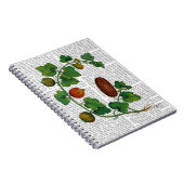 スカッシュつる植物3 ノートブック (右側)