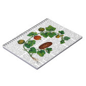 スカッシュつる植物3 ノートブック (左側)