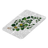 スカッシュつる植物4 マグネット (左側)