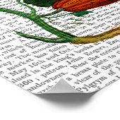 スカッシュつる植物 ポスター (角)