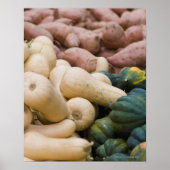 スカッシュとサツマイモ ポスター (正面)