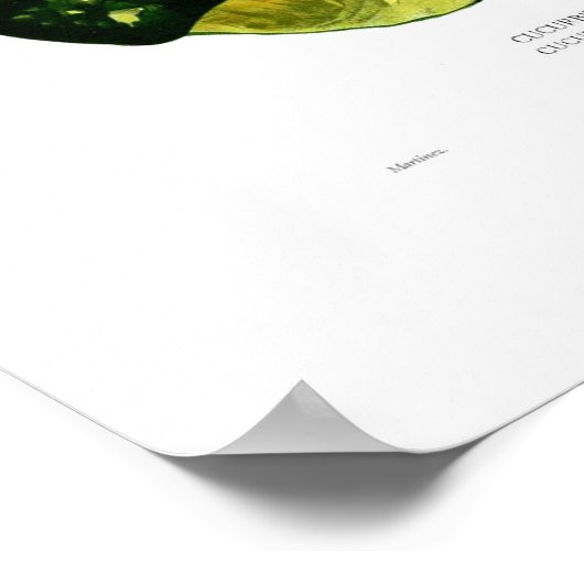 スカッシュ ポスター (角)