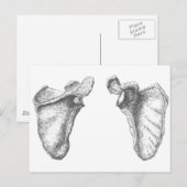 スカプラグレー ポストカード (正面/裏面)