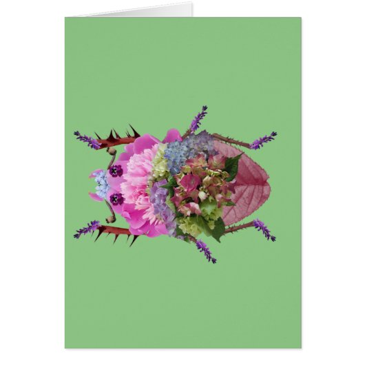 スカベエ (正面)