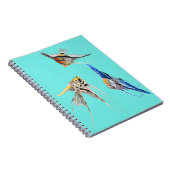 スカラフィッシュ ノートブック (右側)