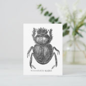 スカラブカブトムシヴィンテージペン及びインクスケッチ ポストカード (スタンド正面)