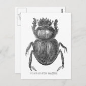 スカラブカブトムシヴィンテージペン及びインクスケッチ ポストカード (正面/裏面)