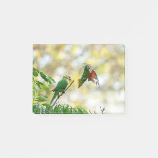 スカリーとレインボー・ロリケート。 ポストイット