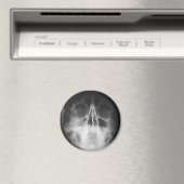 スカリートップおもしろい マグネット (インサイチュ (食洗機))