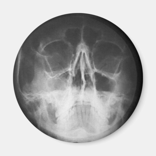 スカリートップおもしろい マグネット (正面)