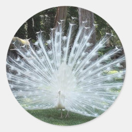 スカリートップおもしろい ラウンドシール