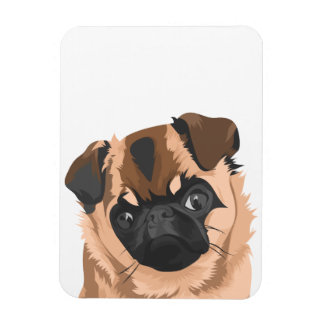 スカリー磁石 マグネット