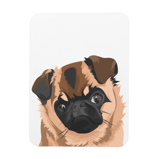 スカリー磁石 マグネット (縦)