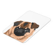 スカリー磁石 マグネット (左側)