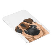 スカリー磁石 マグネット (右側)