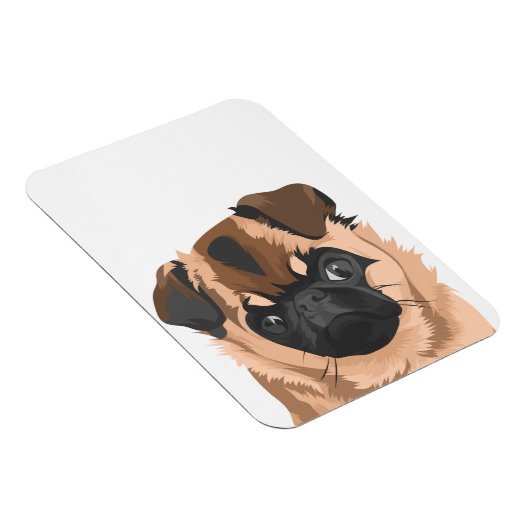 スカリー磁石 マグネット (右側)