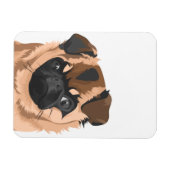 スカリー磁石 マグネット (横)