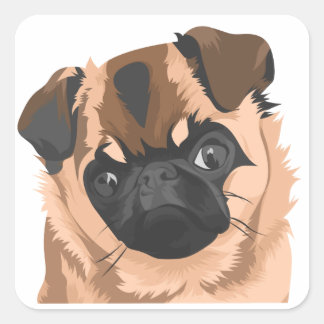 スカリー貼りシート スクエアシール