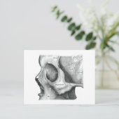 スカルおよびスパインポストカード ポストカード (スタンド正面)