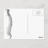 スカルおよびスパインポストカード ポストカード (裏面)