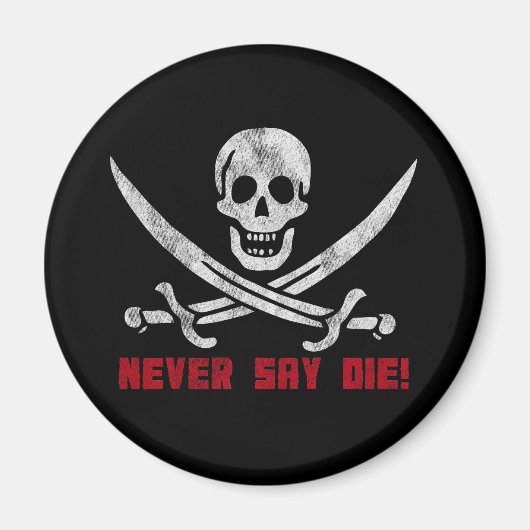 スカルとクロスボーン マグネット (正面)