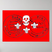 スカルとフルーアデリス/パイレーツトレジャーマップ， ポスター (正面)