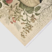 スカルとボタビクトリアンーデクページ 薄葉紙 (詳細)